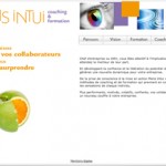 mensIntui - copie